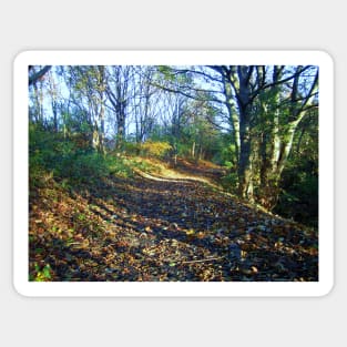 An Autumn Walk Sticker